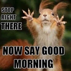 Meet your Posher, Donald